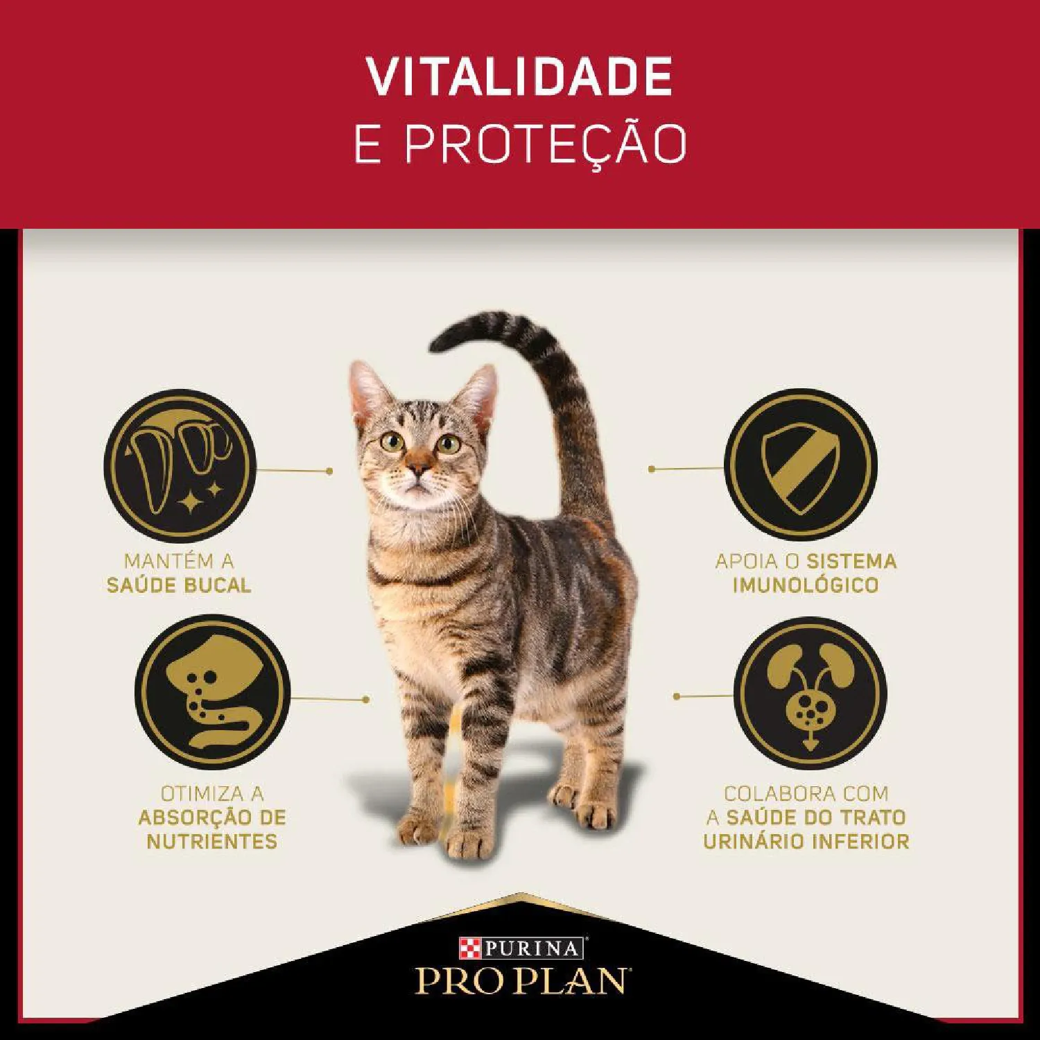 Racao Umida Pro Plan Adult beneficios-03